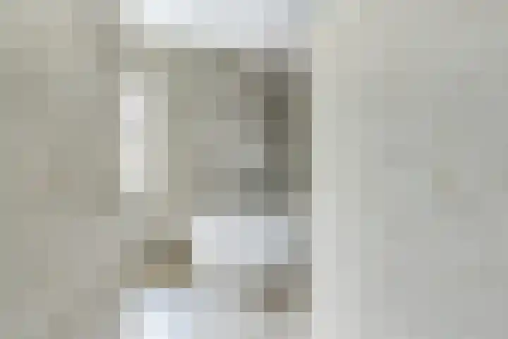 Narcis 10 Andijk thumbnail 57