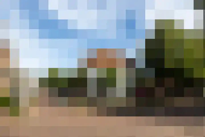 Narcis 10 Andijk thumbnail 62