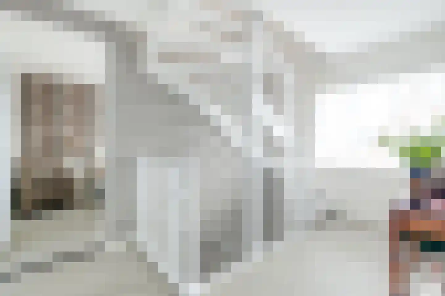 Narcis 10 Andijk thumbnail 63