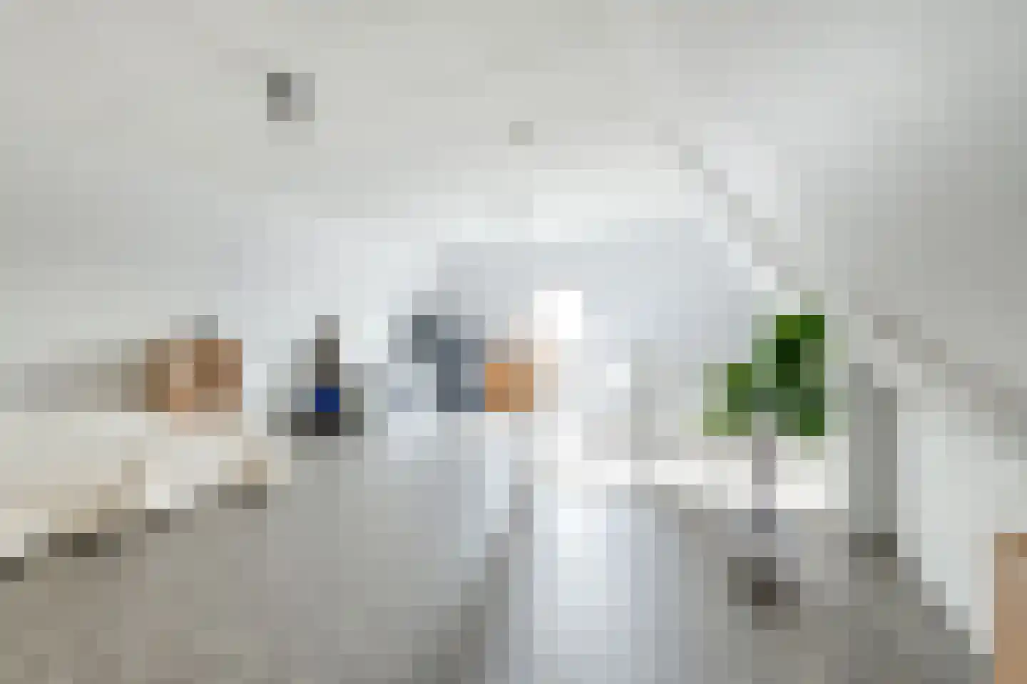 Narcis 10 Andijk thumbnail 65