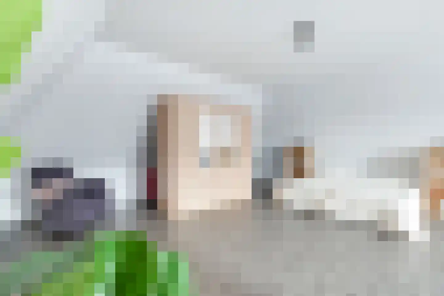Narcis 10 Andijk thumbnail 68