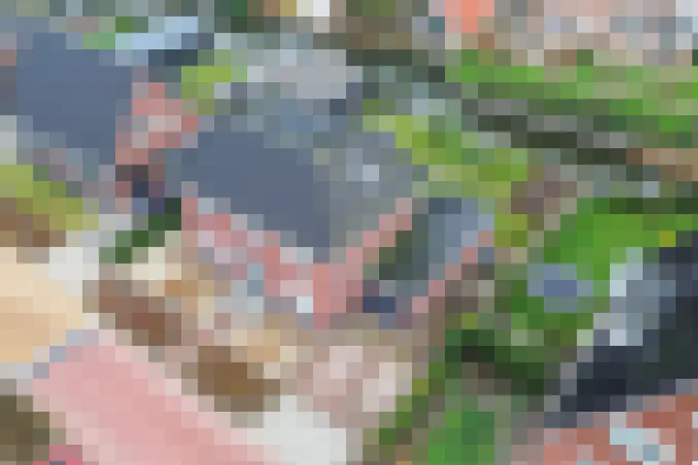 Narcis 10 Andijk thumbnail 71