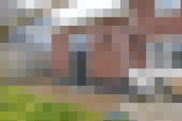 Narcis 10 Andijk thumbnail 75