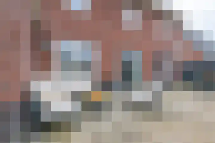 Narcis 10 Andijk thumbnail 76