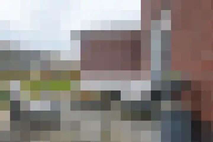 Narcis 10 Andijk thumbnail 77