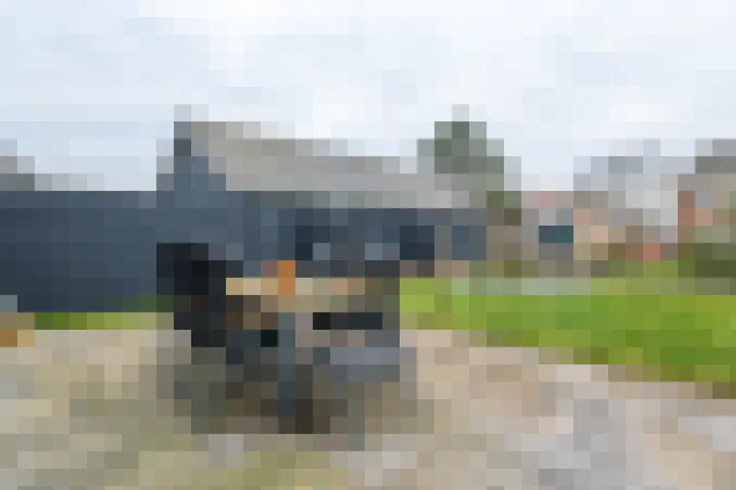 Narcis 10 Andijk thumbnail 79