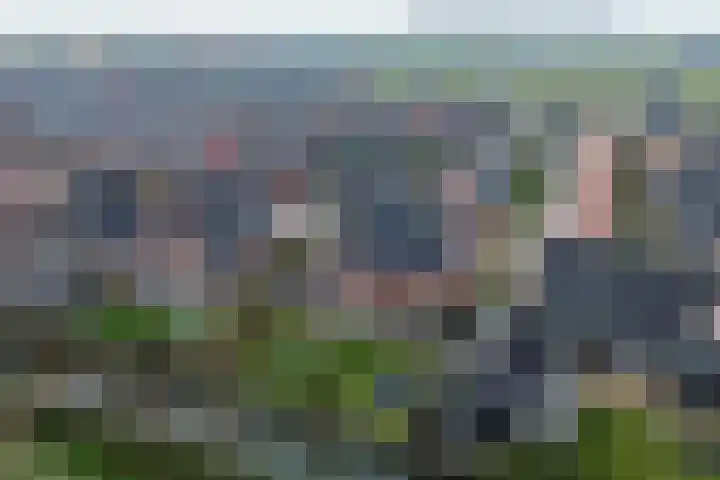 Narcis 10 Andijk thumbnail 8