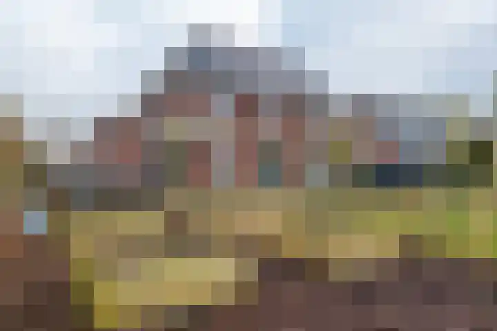 Narcis 10 Andijk thumbnail 80