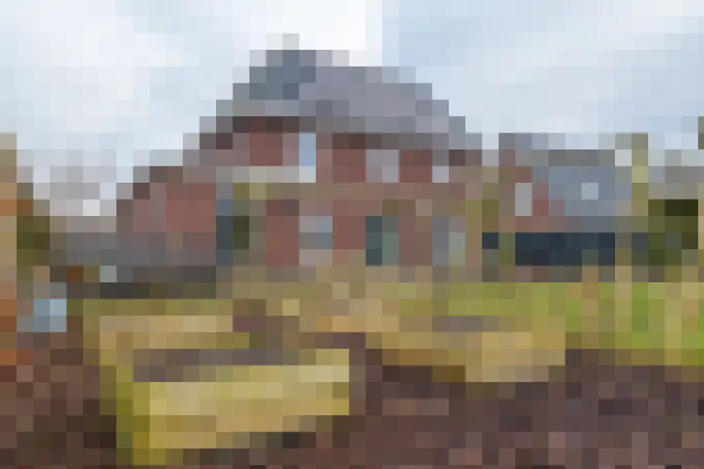 Narcis 10 Andijk thumbnail 81