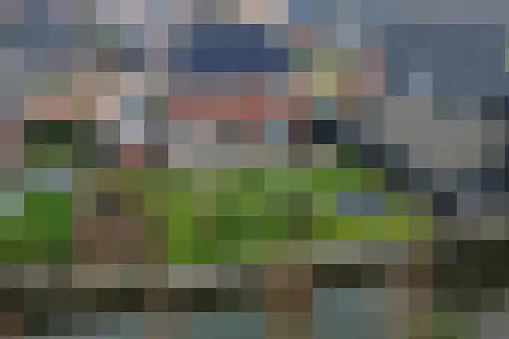 Narcis 10 Andijk thumbnail 82