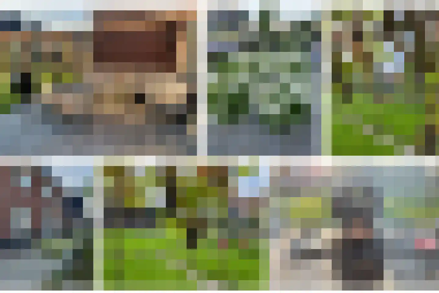Narcis 10 Andijk thumbnail 82
