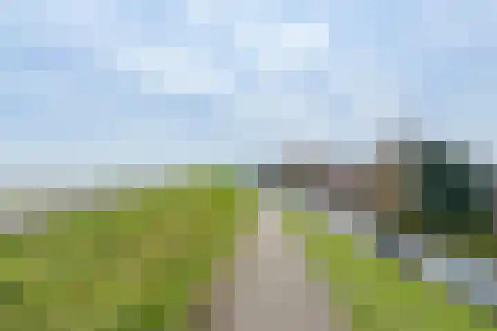 Narcis 10 Andijk thumbnail 85