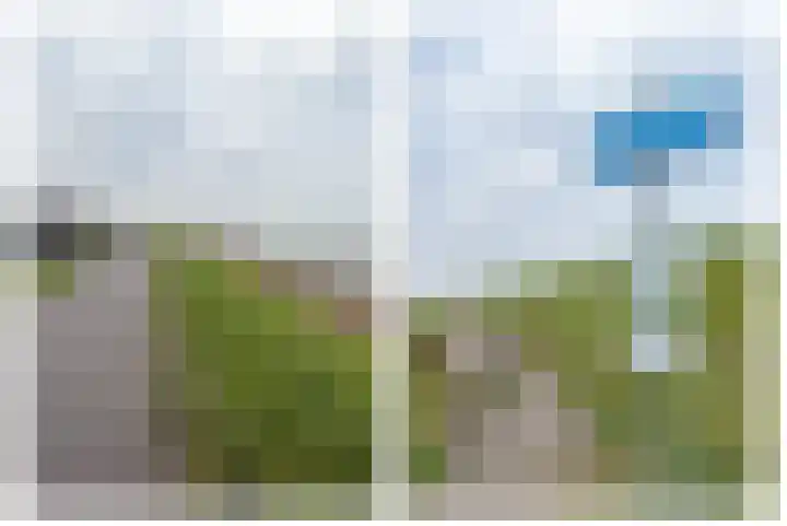 Narcis 10 Andijk thumbnail 86
