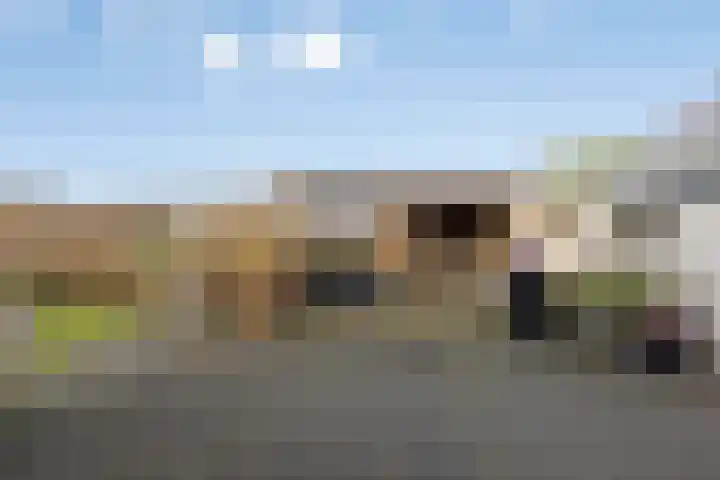 Narcis 10 Andijk thumbnail 87