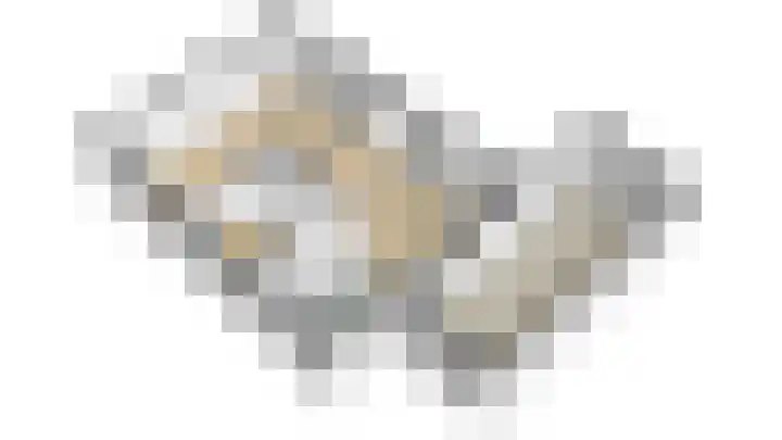 Narcis 10 Andijk thumbnail 88