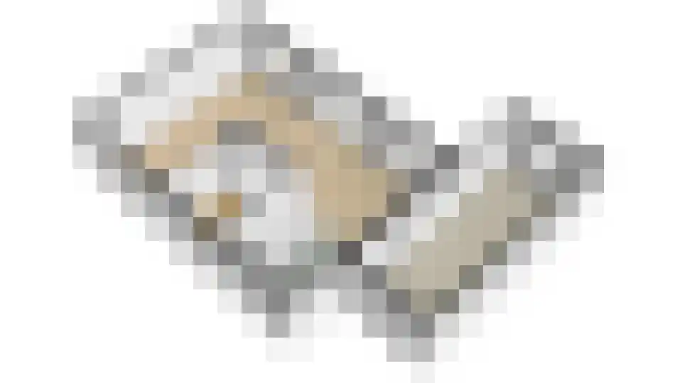 Narcis 10 Andijk thumbnail 89