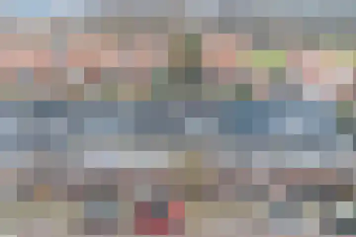 Narcis 10 Andijk thumbnail 9