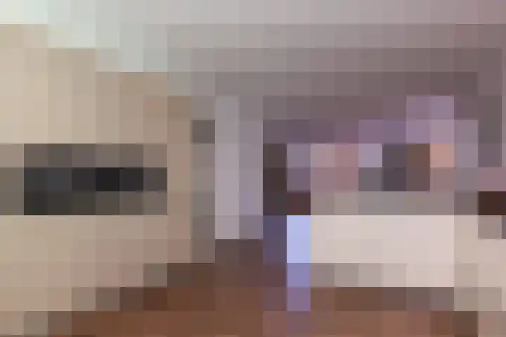 Narcis 15 Andijk thumbnail 12