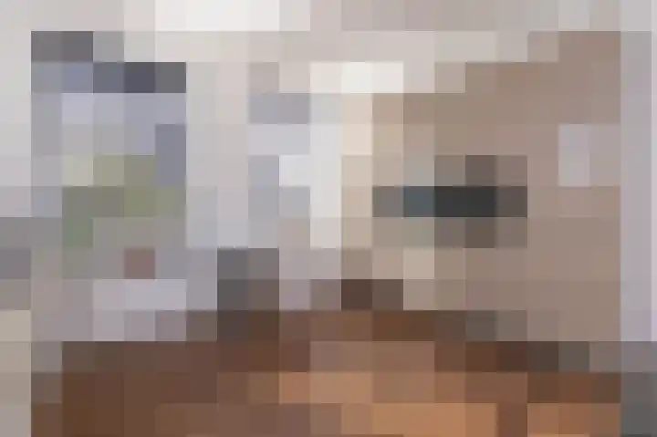 Narcis 15 Andijk thumbnail 14