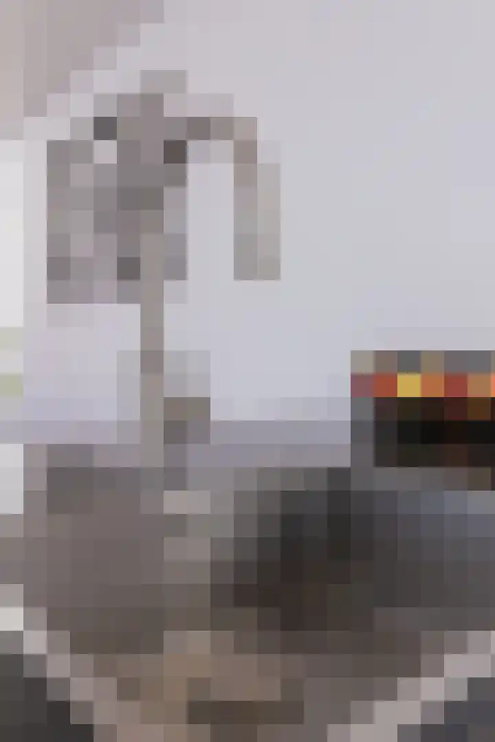 Narcis 15 Andijk thumbnail 16