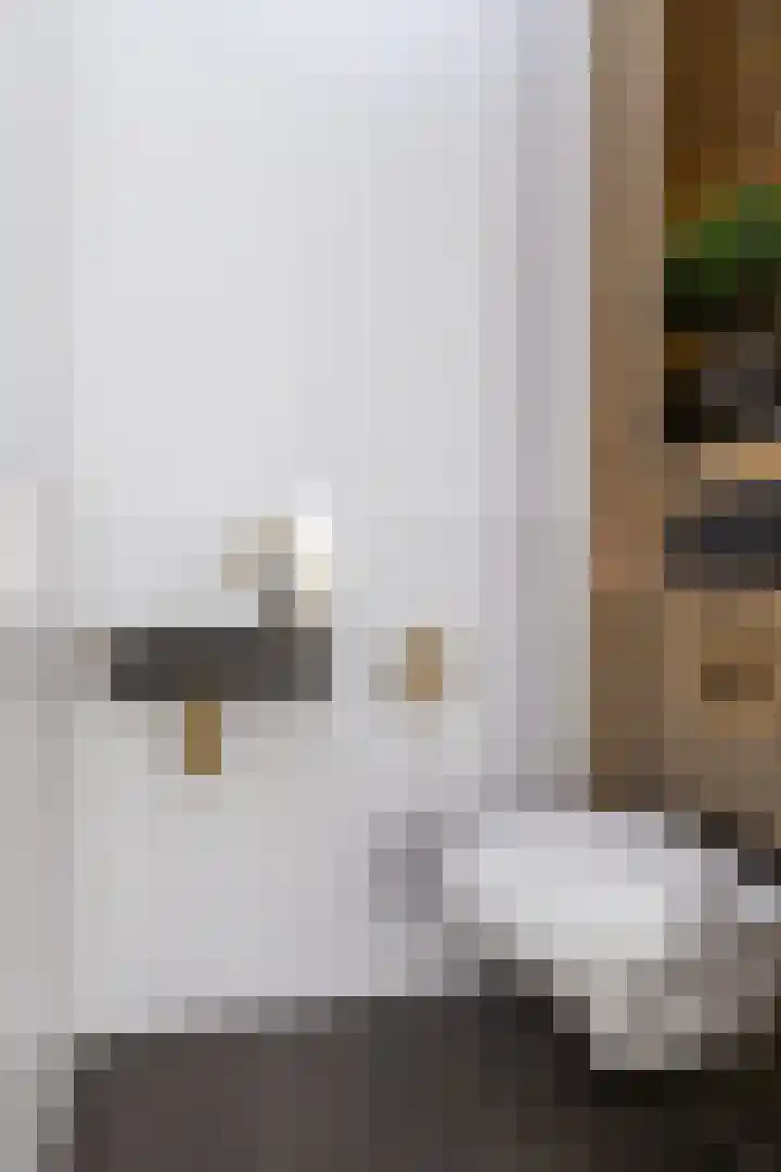 Narcis 15 Andijk thumbnail 19