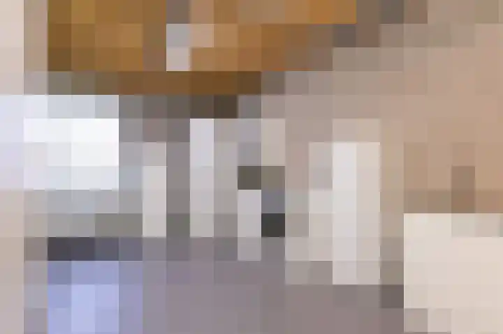 Narcis 15 Andijk thumbnail 20