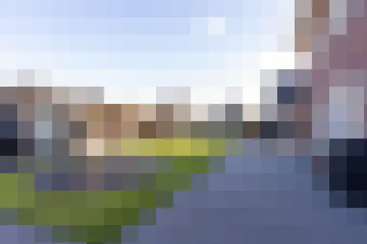 Narcis 15 Andijk thumbnail 24