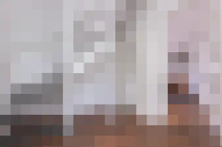 Narcis 15 Andijk thumbnail 28