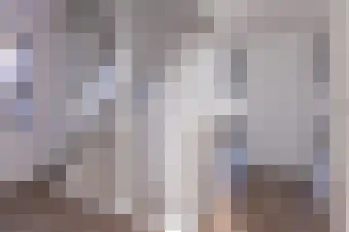 Narcis 15 Andijk thumbnail 29