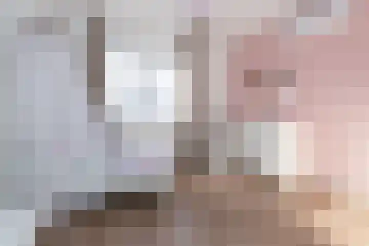 Narcis 15 Andijk thumbnail 30