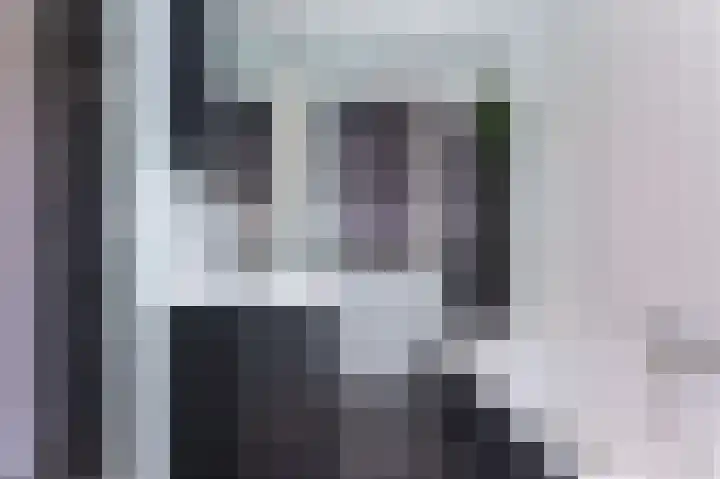 Narcis 15 Andijk thumbnail 38
