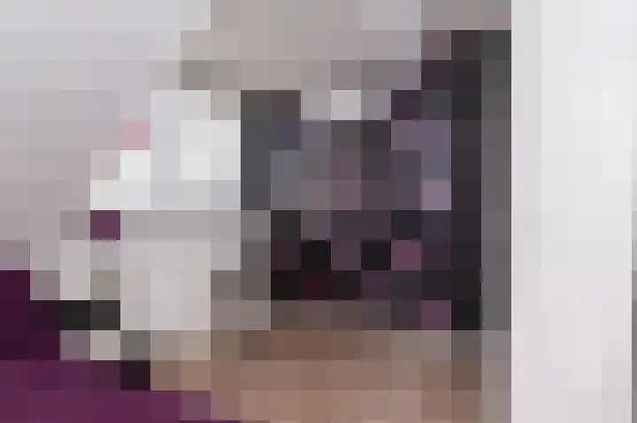 Narcis 15 Andijk thumbnail 44