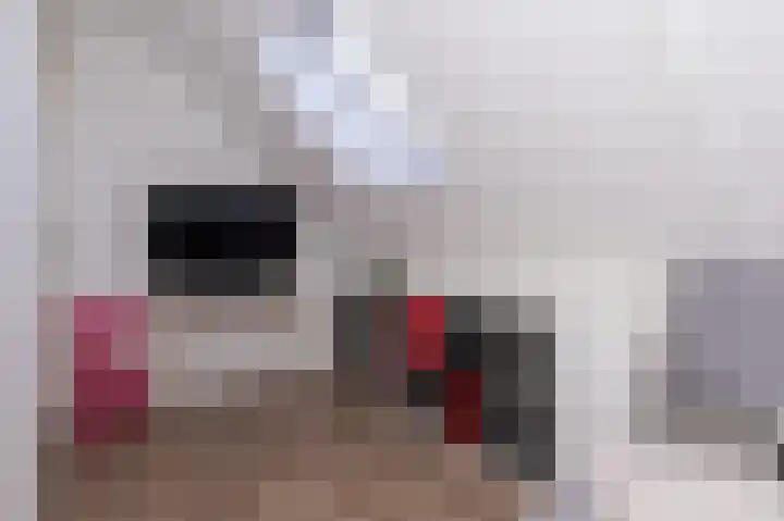 Narcis 15 Andijk thumbnail 48