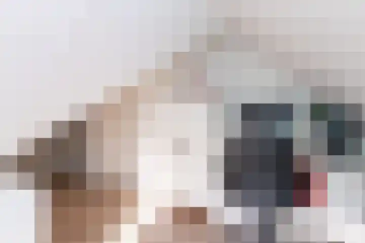 Narcis 15 Andijk thumbnail 49