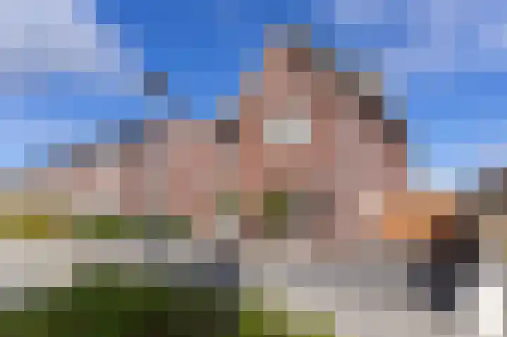 Narcis 15 Andijk thumbnail 52
