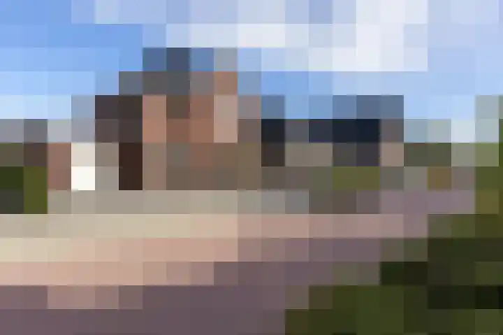 Narcis 15 Andijk thumbnail 54