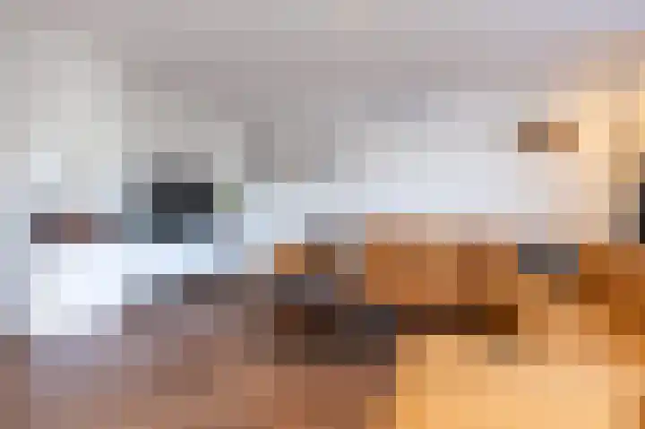 Narcis 15 Andijk thumbnail 8