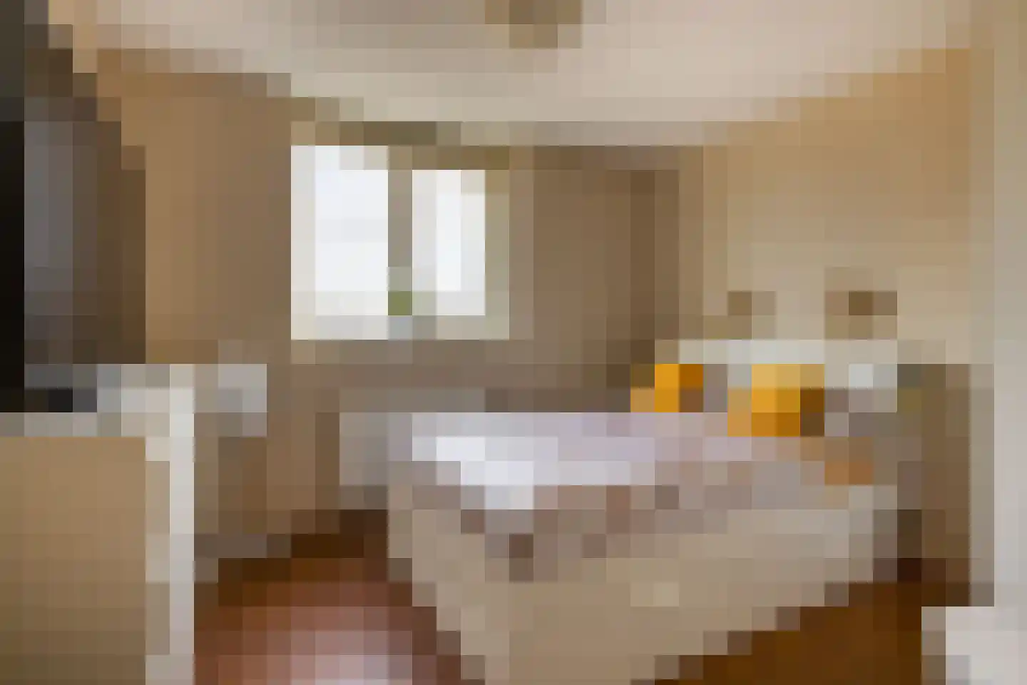 Narcis 27 Krimpen aan den IJssel thumbnail 13