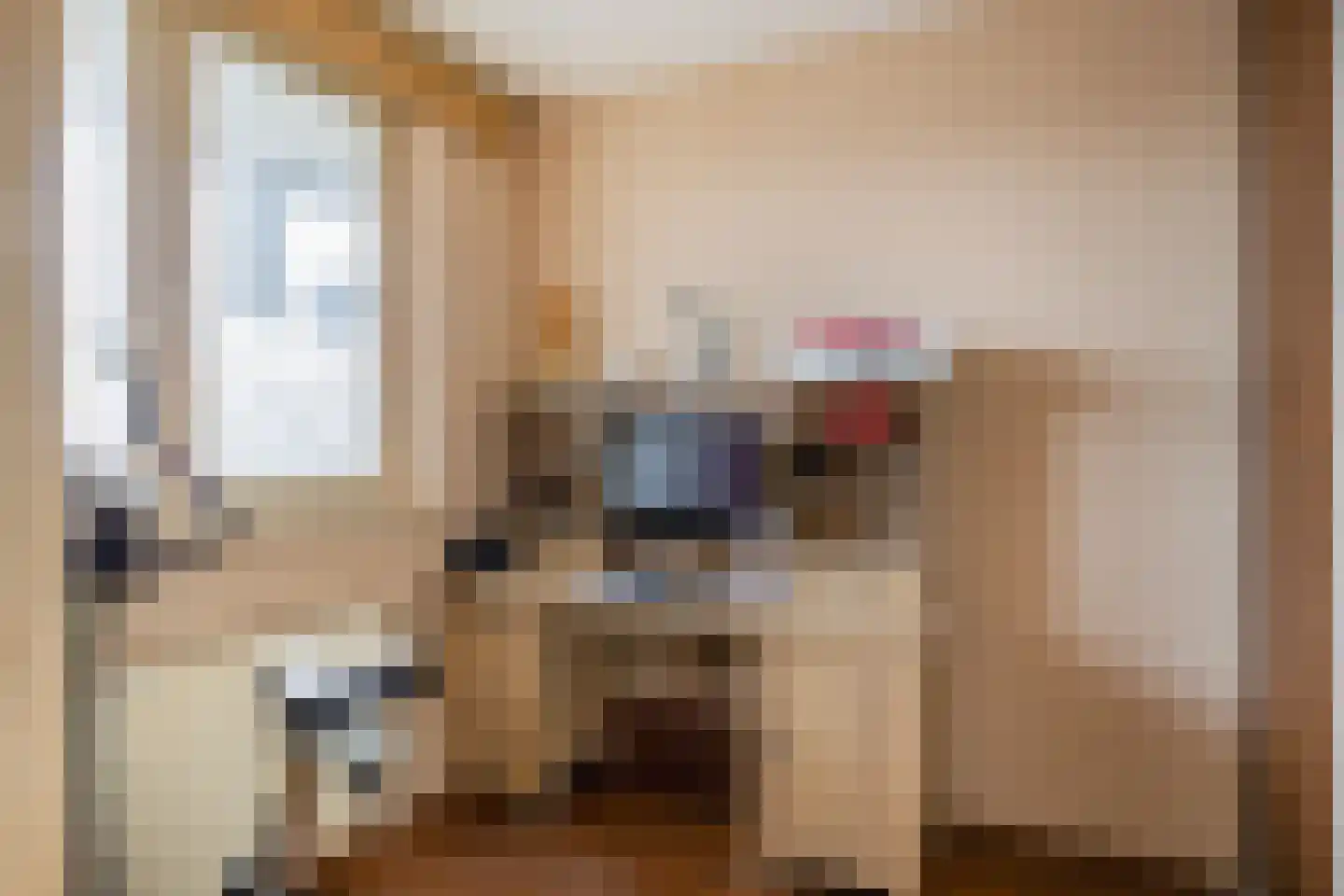 Narcis 27 Krimpen aan den IJssel thumbnail 36