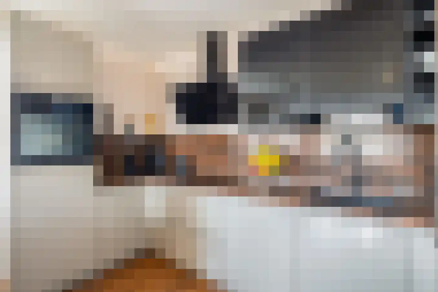 Narcis 27 Krimpen aan den IJssel thumbnail 4