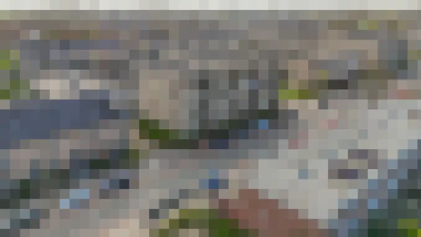 Narcis 27 Krimpen aan den IJssel thumbnail 43