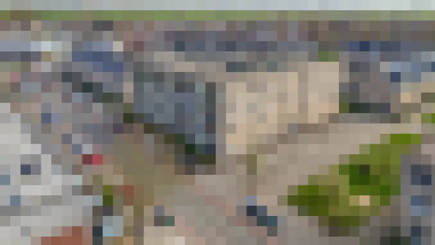 Narcis 27 Krimpen aan den IJssel thumbnail 45