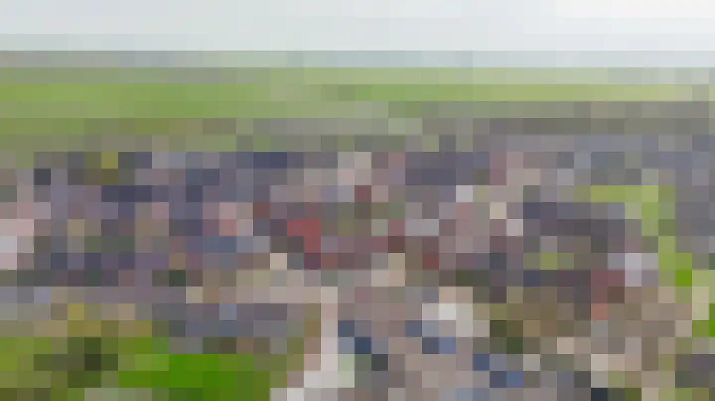 Narcis 27 Krimpen aan den IJssel thumbnail 50