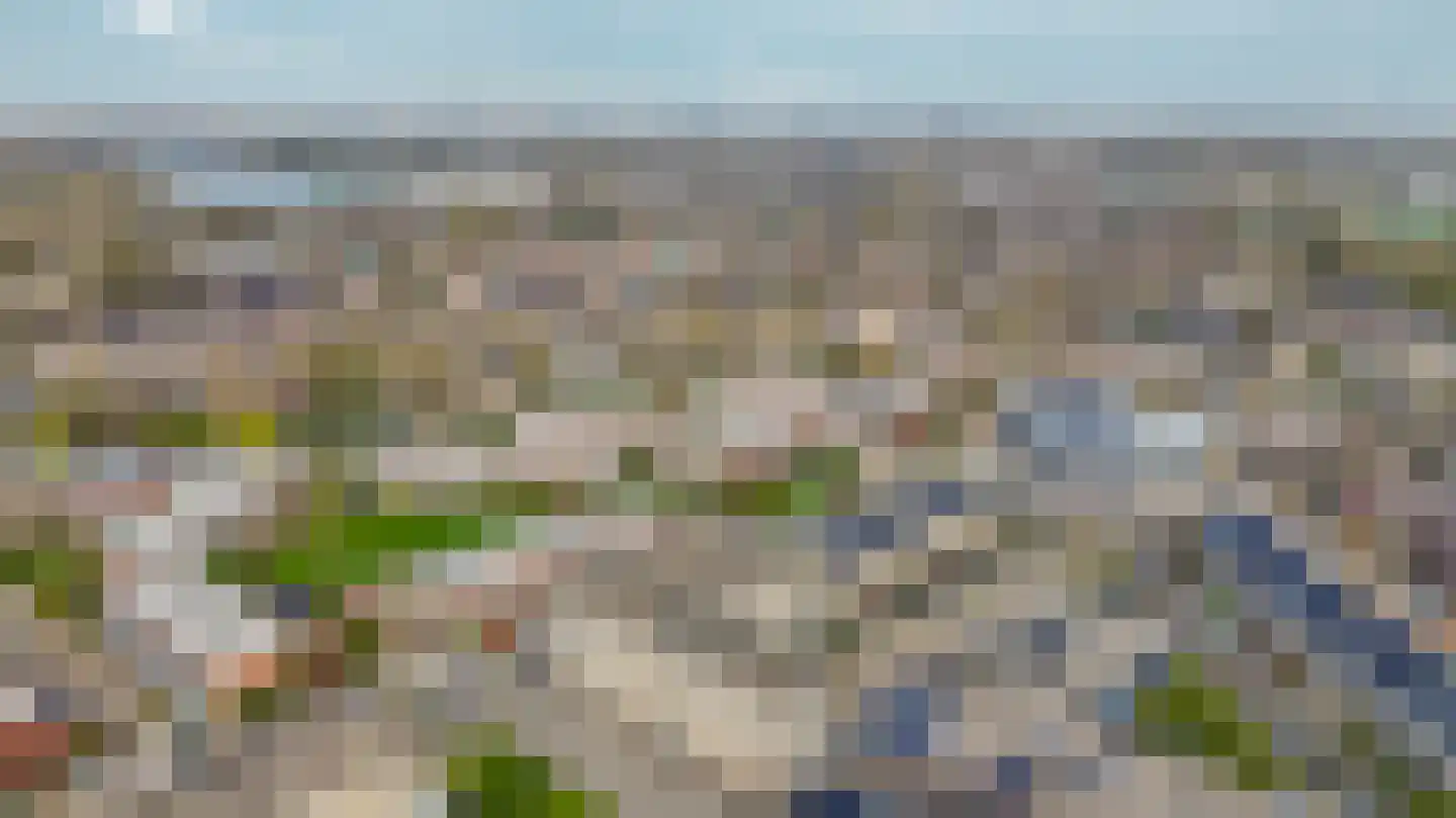 Narcis 27 Krimpen aan den IJssel thumbnail 51