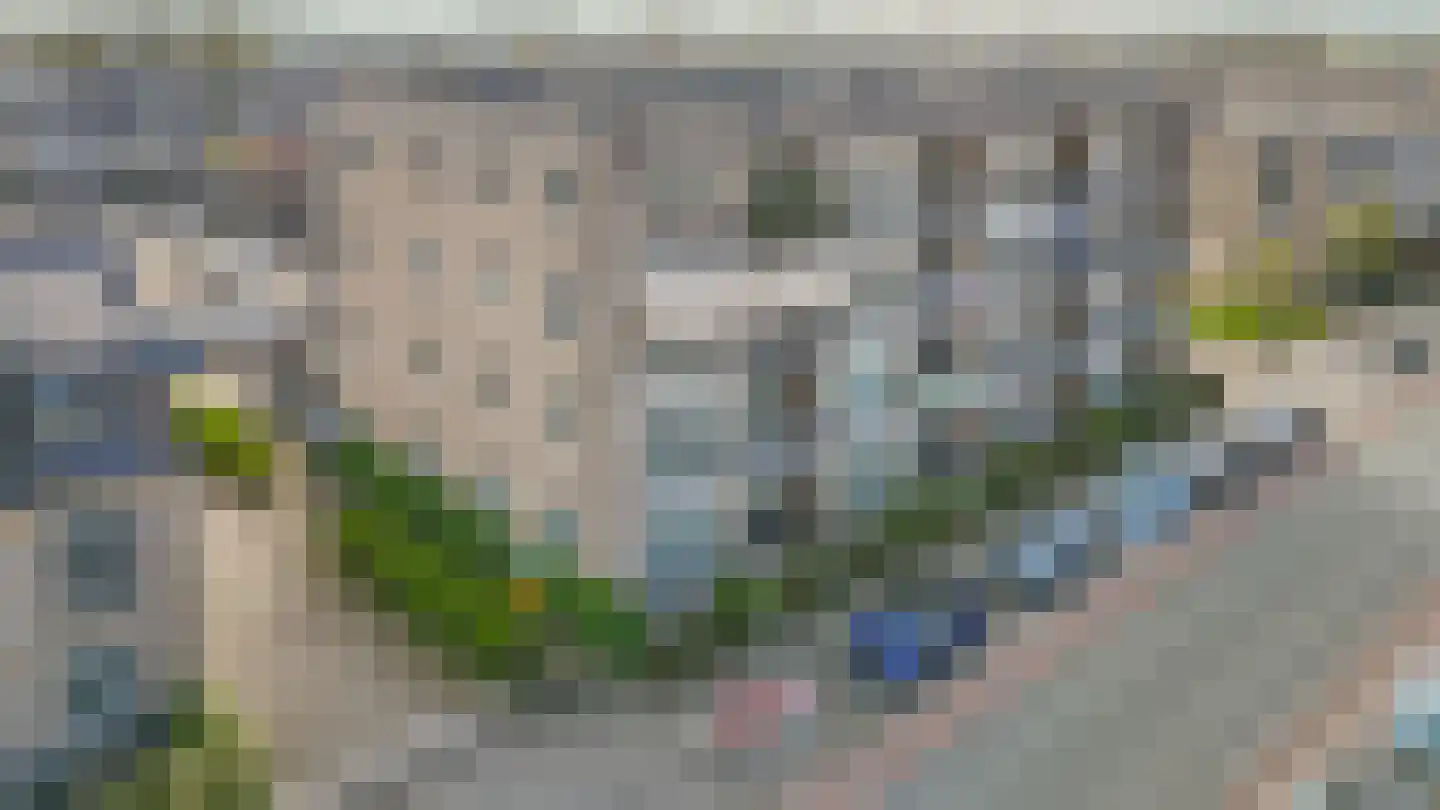 Narcis 27 Krimpen aan den IJssel thumbnail 52