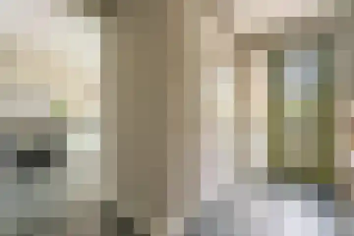 Narcis 3 Voorhout thumbnail 13