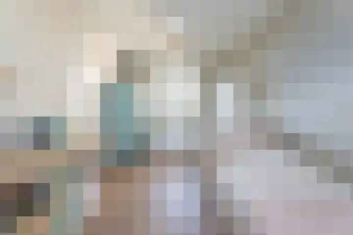 Narcis 3 Voorhout thumbnail 17