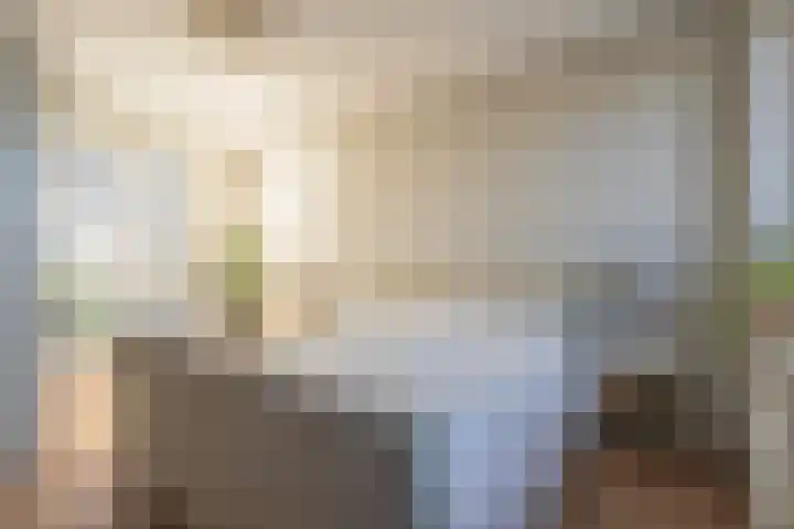Narcis 3 Voorhout thumbnail 18