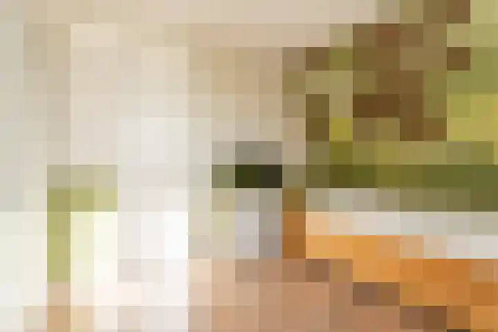 Narcis 3 Voorhout thumbnail 26