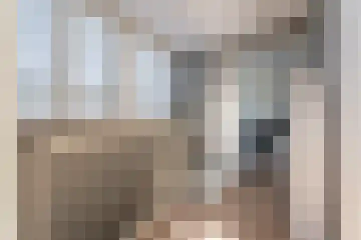 Narcis 3 Voorhout thumbnail 28